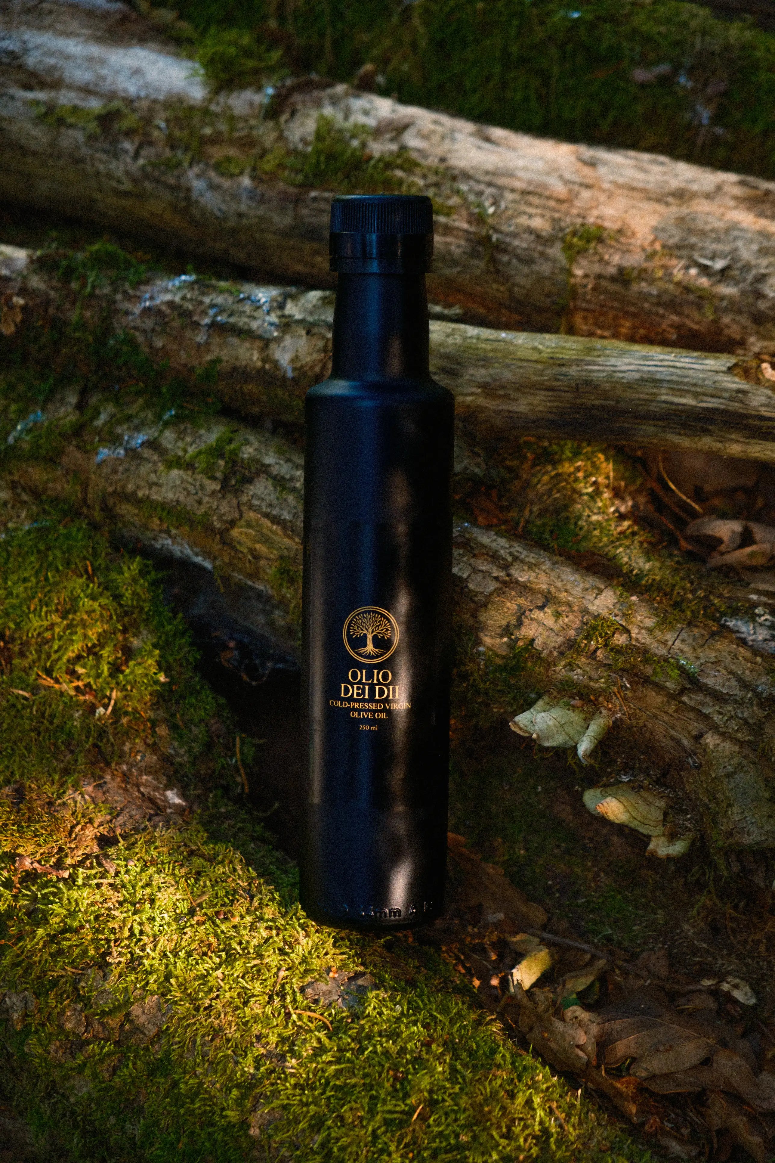 Olio dei Dii - Das göttliche Olivenöl aus Kalabrien - 250 ml