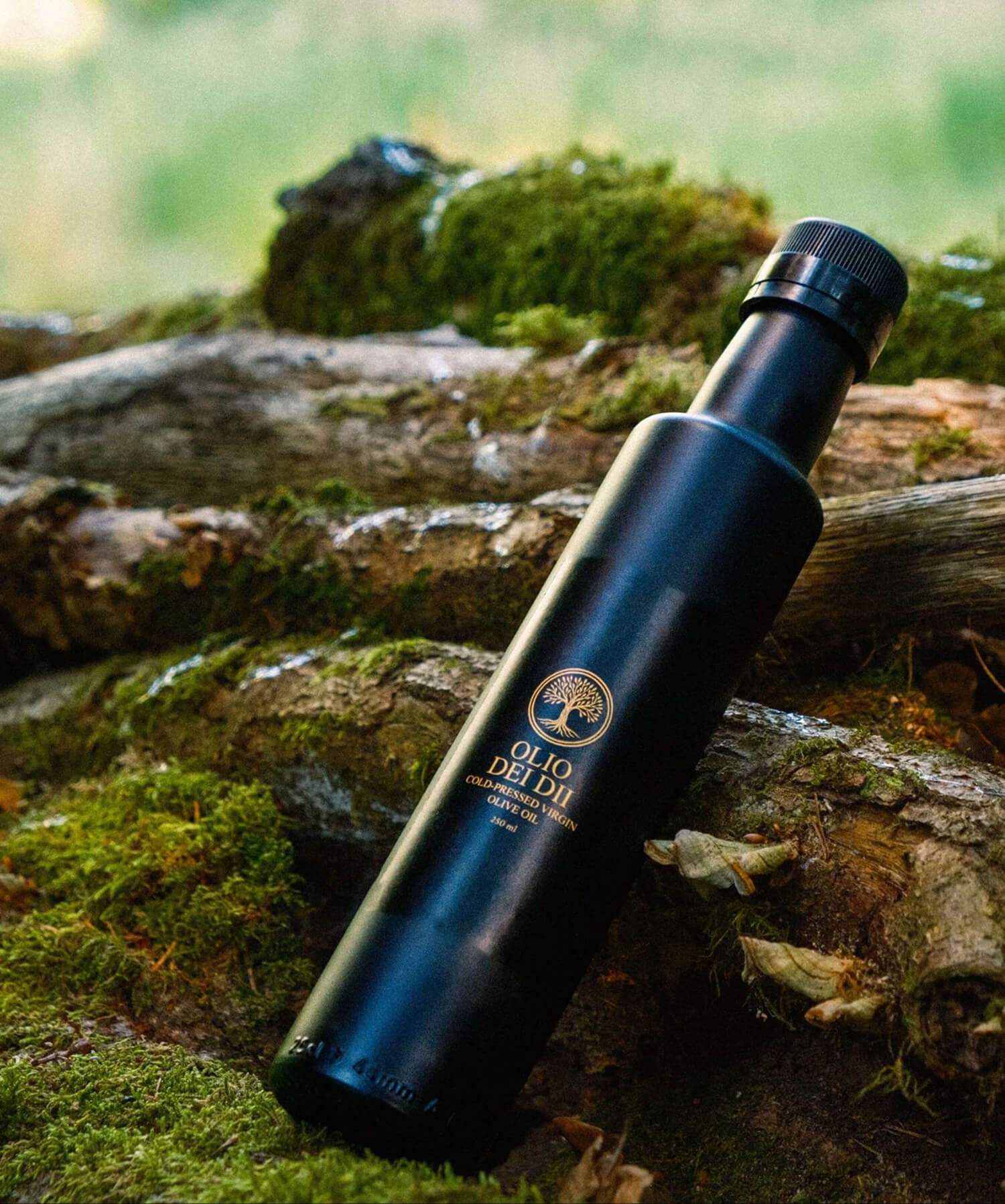 Premium Olivenöl aus Kalabrien 250ml im Wald